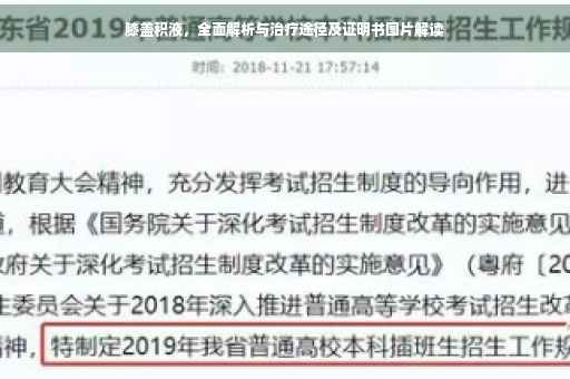 膝盖积液，全面解析与治疗途径及证明书图片解读