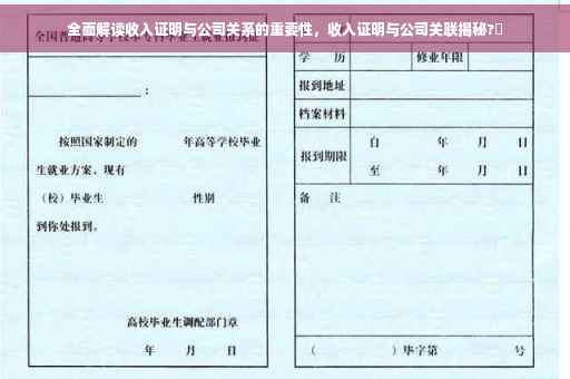 全面解读收入证明与公司关系的重要性，收入证明与公司关联揭秘?✨