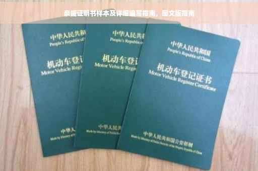 亲戚证明书样本及详细编写指南，图文版指南