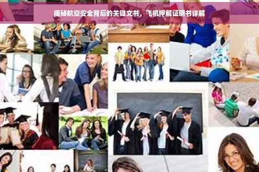 揭秘航空安全背后的关键文书，飞机押解证明书详解