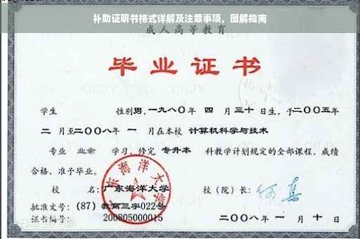 补助证明书格式详解及注意事项，图解指南