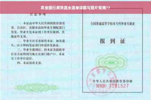 农业银行房贷流水清单详解与图片指南??