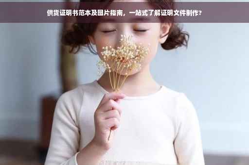 供货证明书范本及图片指南，一站式了解证明文件制作?