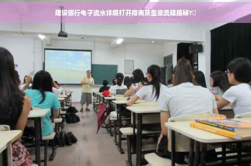建设银行电子流水详细打开指南及盖章流程揭秘?✨