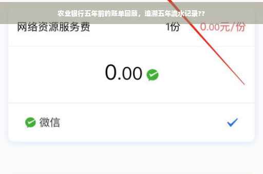 农业银行五年前的账单回顾，追溯五年流水记录??