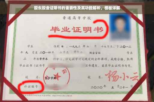 股东股金证明书的重要性及其功能解析，模板详解
