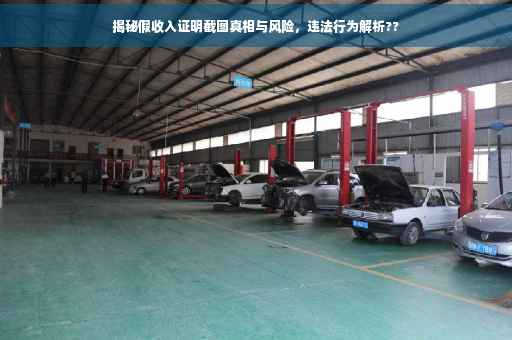 揭秘假收入证明截图真相与风险，违法行为解析??