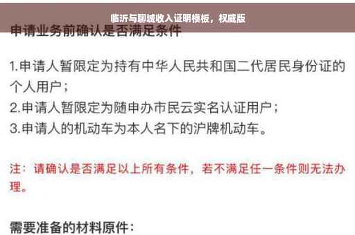 临沂与聊城收入证明模板，权威版