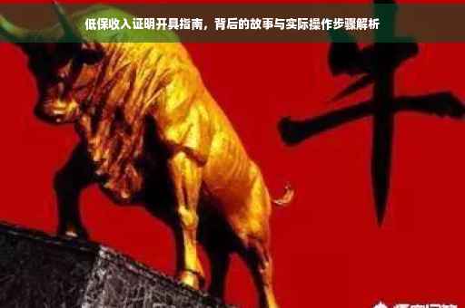 低保收入证明开具指南，背后的故事与实际操作步骤解析