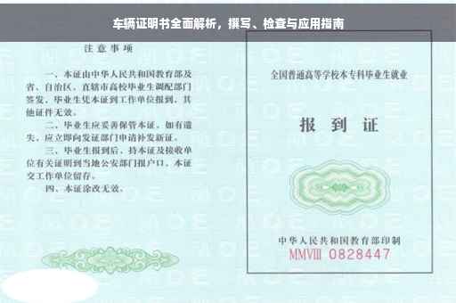 车辆证明书全面解析，撰写、检查与应用指南