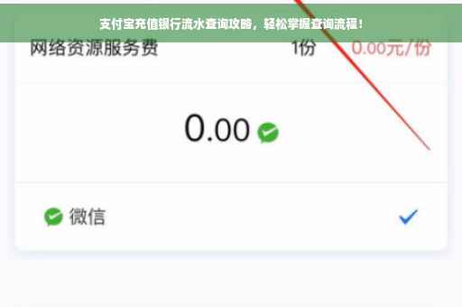 支付宝充值银行流水查询攻略，轻松掌握查询流程！