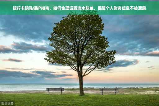 银行卡隐私保护指南，如何合理设置流水账单，保障个人财务信息不被泄露