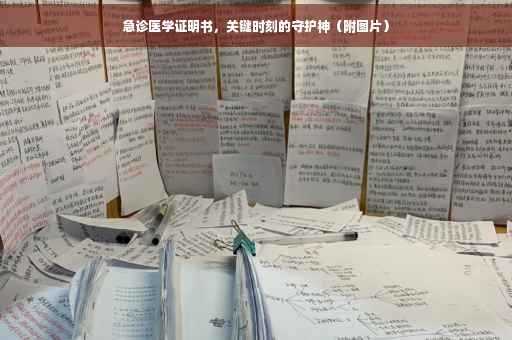 急诊医学证明书，关键时刻的守护神（附图片）