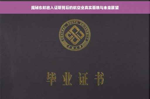 揭秘东航收入证明背后的航空业真实面貌与未来展望 揭秘东航收入证明背后的航空业真实面貌与未来展望
