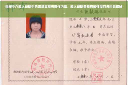 揭秘中介收入证明中的盖章真相与操作内幕，收入证明盖章有效性探究与内幕揭秘。