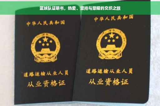 篮球队证明书，热爱、坚持与荣耀的交织之旅