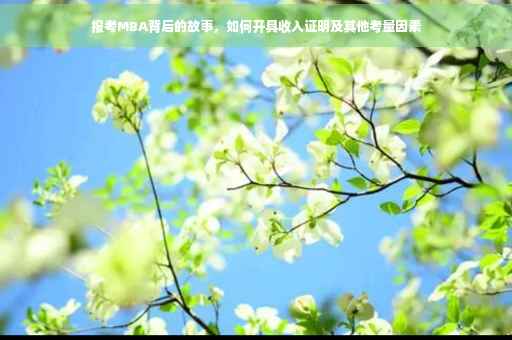 报考MBA背后的故事，如何开具收入证明及其他考量因素