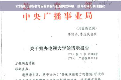 农村孤儿证明书背后的真相与社会关爱呼唤，撰写指南与关注倡议