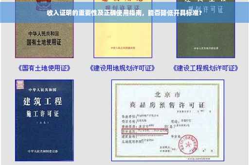收入证明的重要性及正确使用指南，能否降低开具标准？