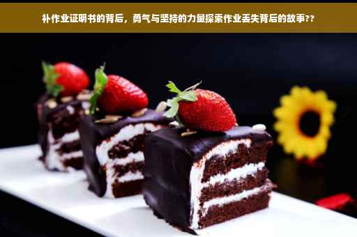 补作业证明书的背后，勇气与坚持的力量探索作业丢失背后的故事??