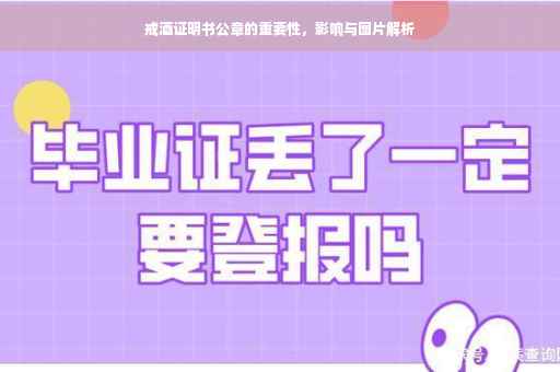 戒酒证明书公章的重要性，影响与图片解析