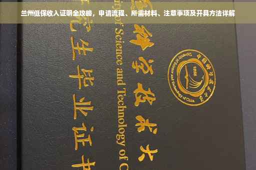 兰州低保收入证明全攻略，申请流程、所需材料、注意事项及开具方法详解