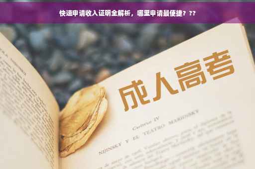 快速申请收入证明全解析，哪里申请最便捷？??