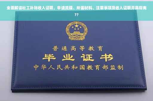 全面解读社工补贴收入证明，申请流程、所需材料、注意事项及收入证明开具指南??