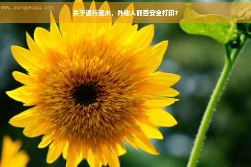 关于银行流水，外地人能否安全打印？