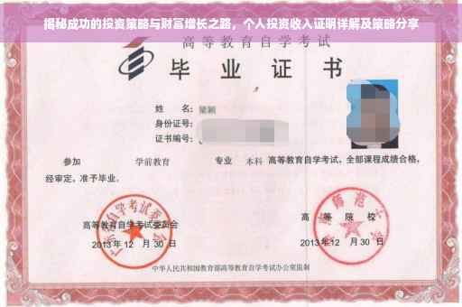 揭秘成功的投资策略与财富增长之路，个人投资收入证明详解及策略分享