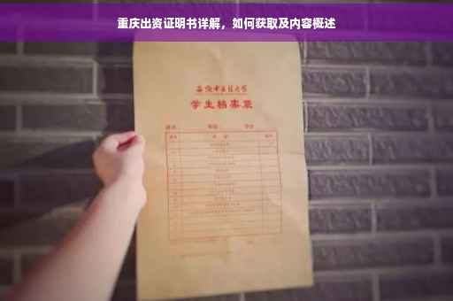 重庆出资证明书详解，如何获取及内容概述