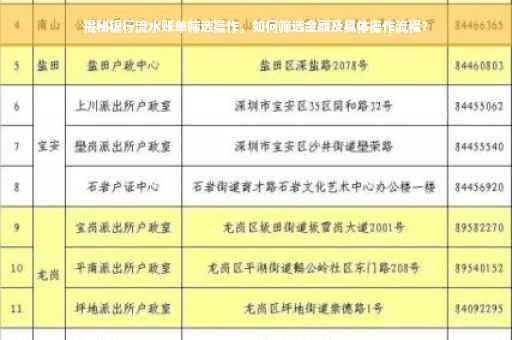 揭秘银行流水账单筛选操作，如何筛选金额及具体操作流程？