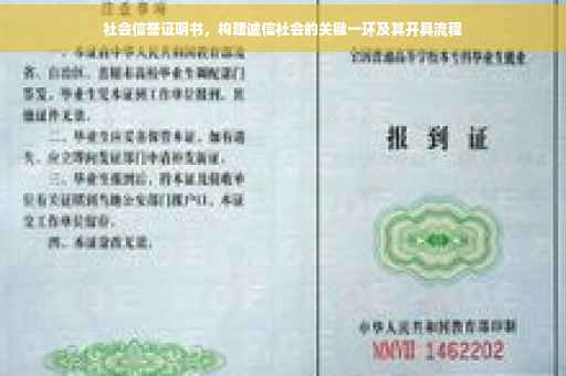 社会信誉证明书，构建诚信社会的关键一环及其开具流程