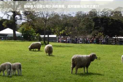 揭秘收入证明公司少开的真相，应对策略与应对之道??