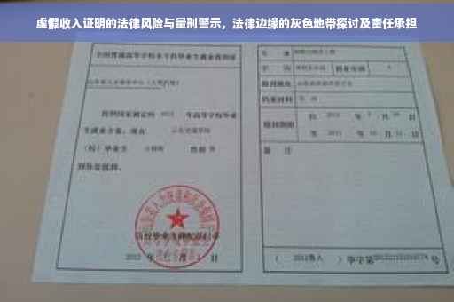 虚假收入证明的法律风险与量刑警示，法律边缘的灰色地带探讨及责任承担