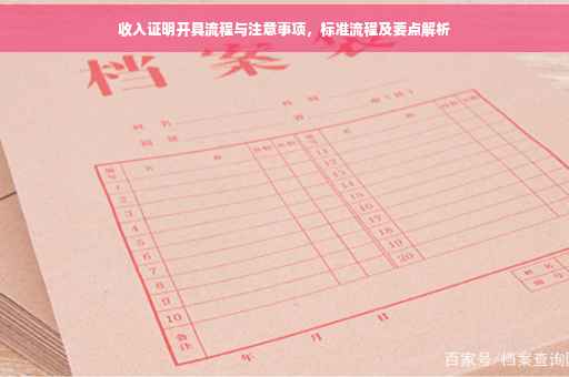 收入证明开具流程与注意事项，标准流程及要点解析