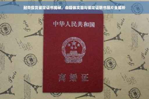 耐克假货鉴定证书揭秘，自媒体文章与鉴定证明书图片全解析