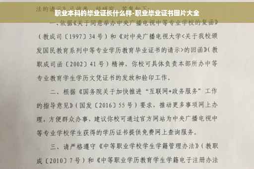 职业本科的毕业证长什么样-职业毕业证书图片大全
