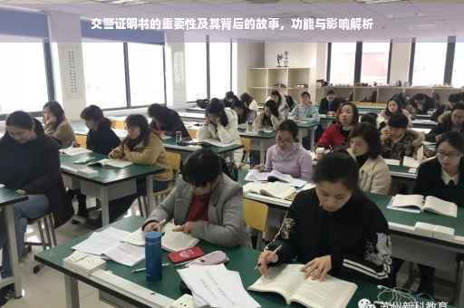 交警证明书的重要性及其背后的故事，功能与影响解析