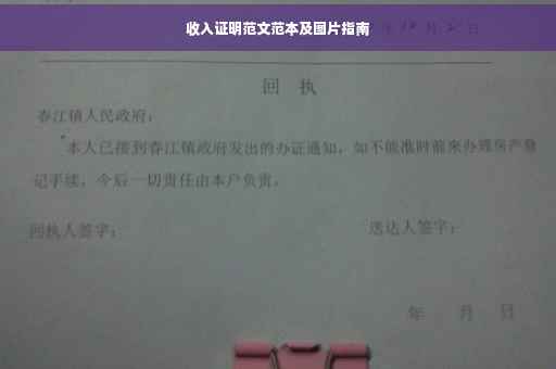 收入证明范文范本及图片指南