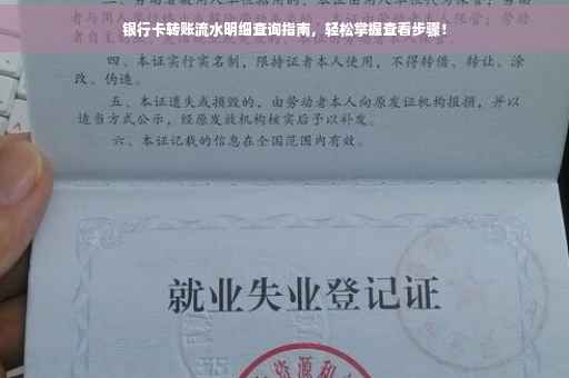银行卡转账流水明细查询指南，轻松掌握查看步骤！