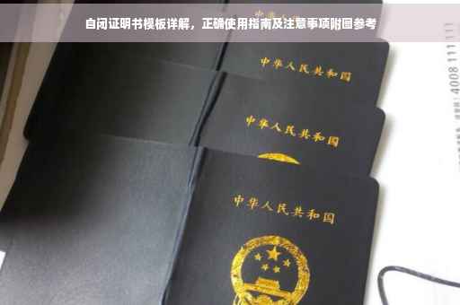 自闭证明书模板详解，正确使用指南及注意事项附图参考