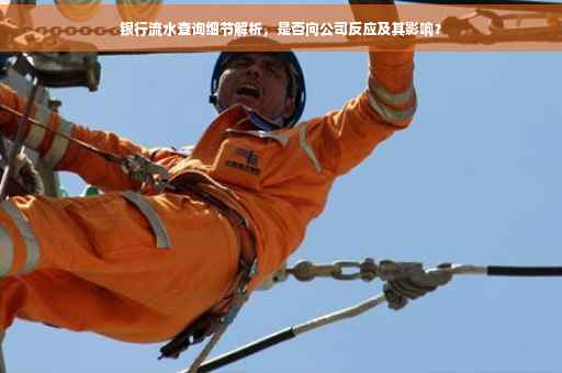 银行流水查询细节解析，是否向公司反应及其影响？