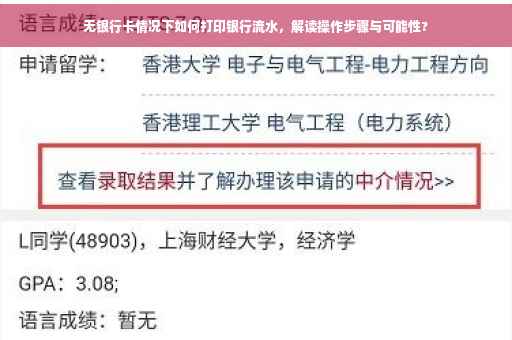 无银行卡情况下如何打印银行流水，解读操作步骤与可能性?