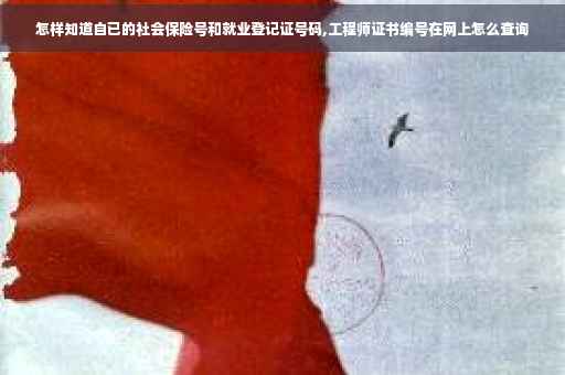 怎样知道自已的社会保险号和就业登记证号码,工程师证书编号在网上怎么查询