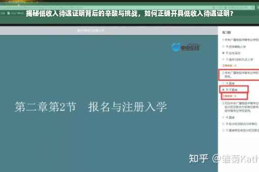 揭秘低收入待遇证明背后的辛酸与挑战，如何正确开具低收入待遇证明？