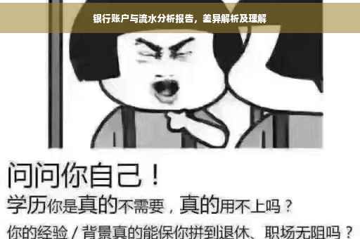 银行账户与流水分析报告，差异解析及理解