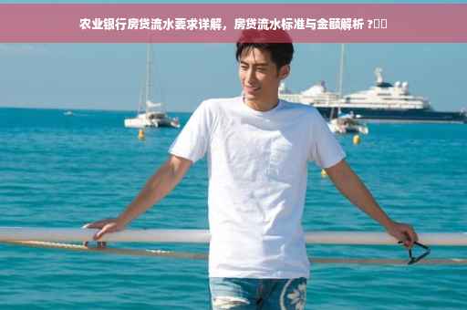 农业银行房贷流水要求详解，房贷流水标准与金额解析 ?⚡️