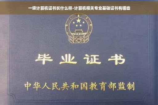 一级计算机证书长什么样-计算机相关专业基础证书有哪些