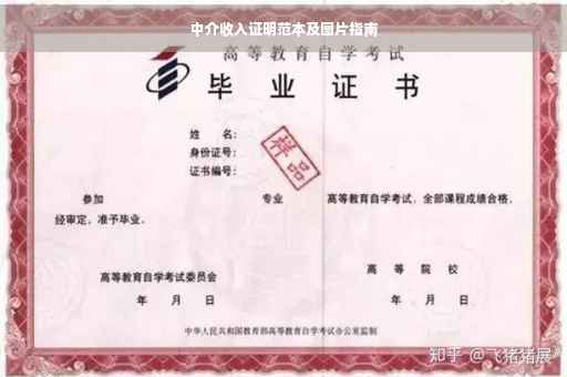 中介收入证明范本及图片指南